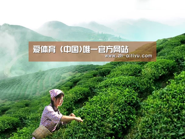 爱体育 (中国)唯一官方网站